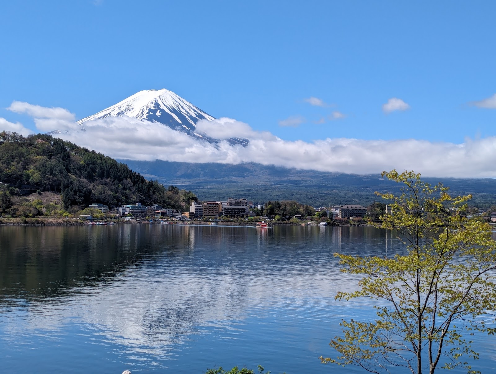 Mt. Fuji in June