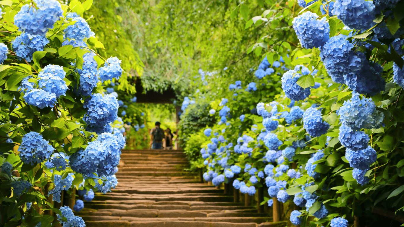 Best time to visit Japan 