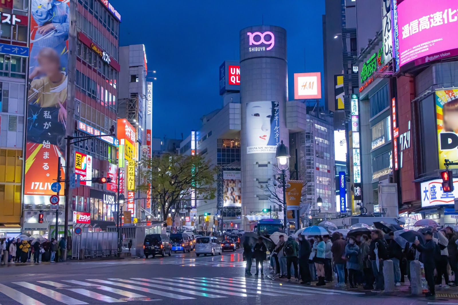 Tokyo Rainy Day Itinerary 