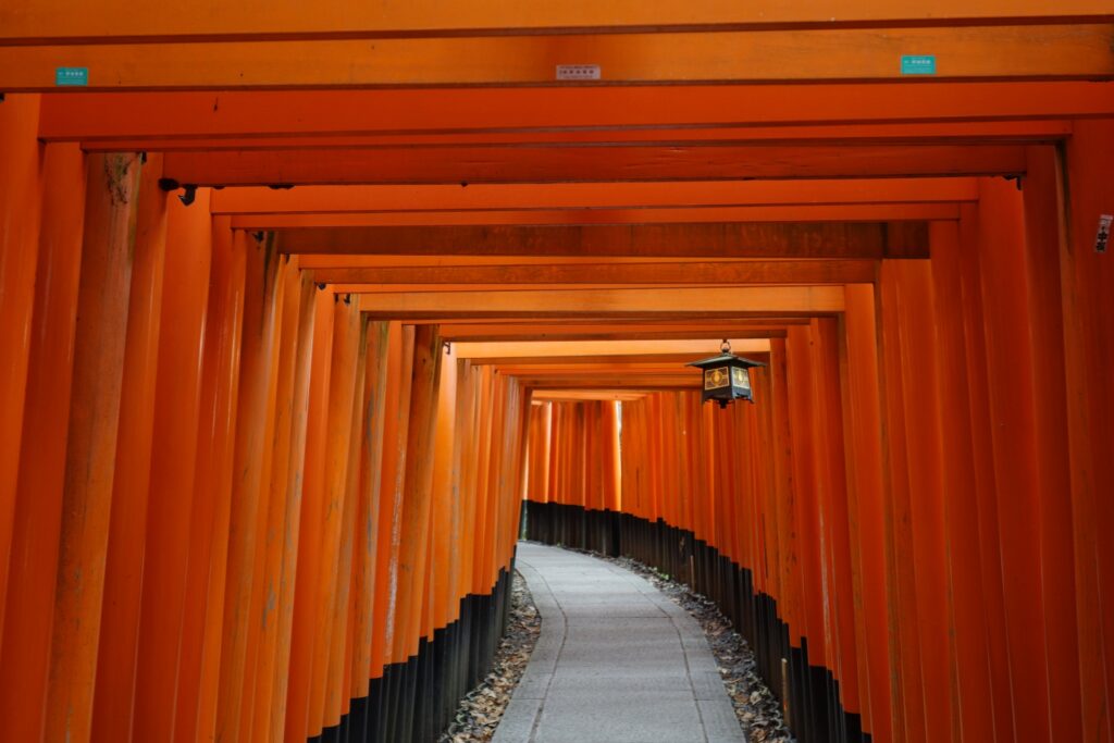 Kyoto in Early Winter: An Unforgettable 10-Hour Kyoto December Itinerary with Christmas Lights 8 23353614 m
