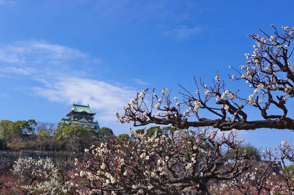 Plum Blossom Season in Japan: The Most Beautiful Places to See Early Spring Before Sakura 4 23151264 m 1