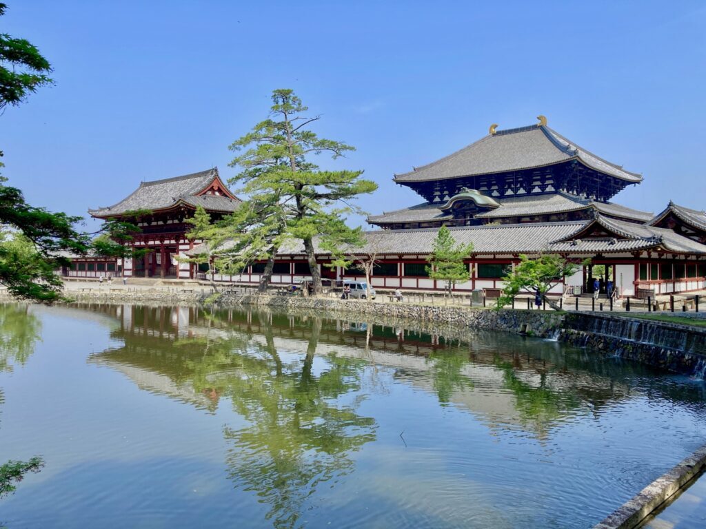 Nara Summer Tour