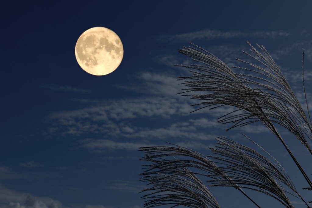 Tsukimi in Japan 2025: Timeless Moon-Viewing Traditions and Irresistible Autumn Flavors 1 Tsukimi in Japan