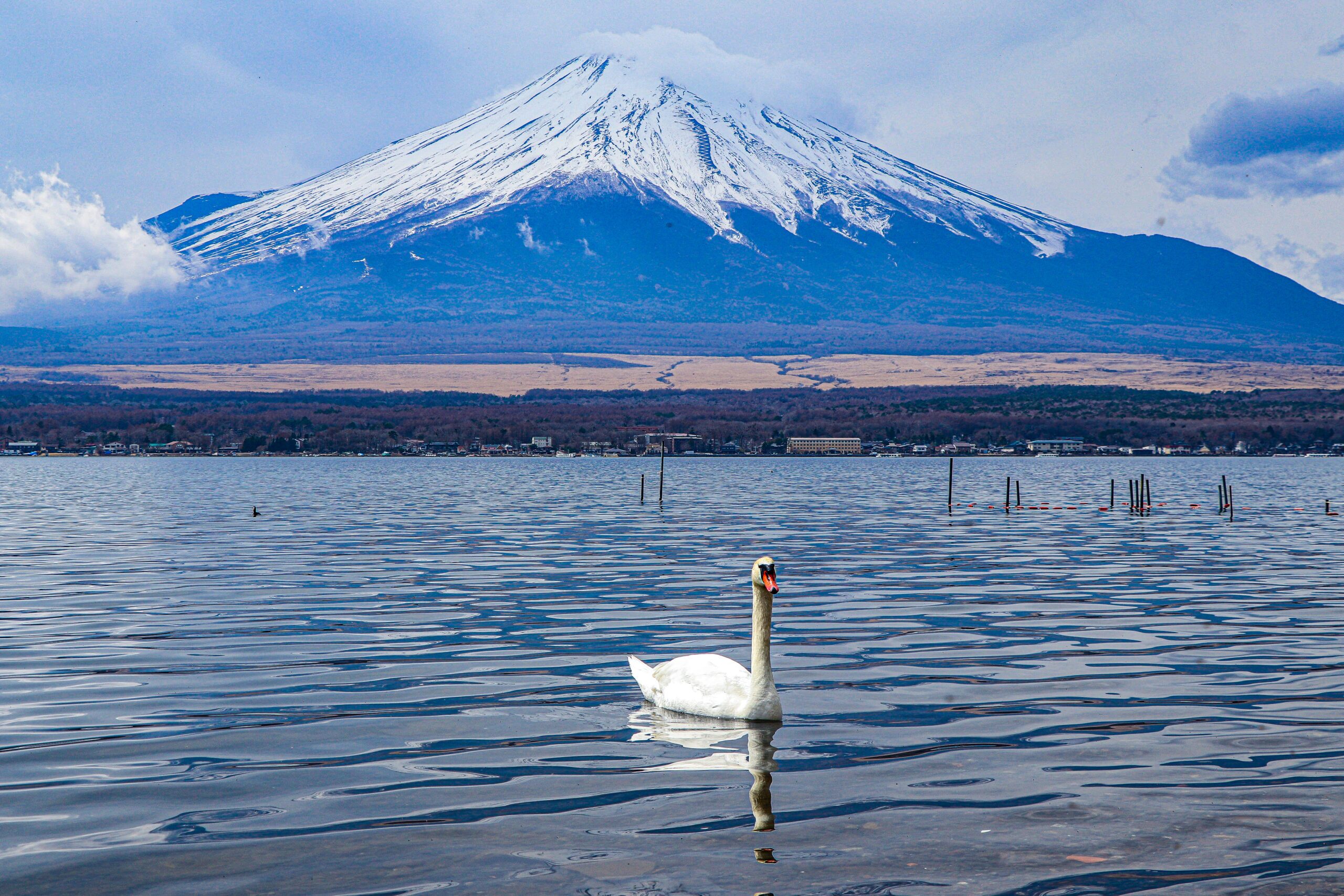 Home 32 Mt fuji image scaled