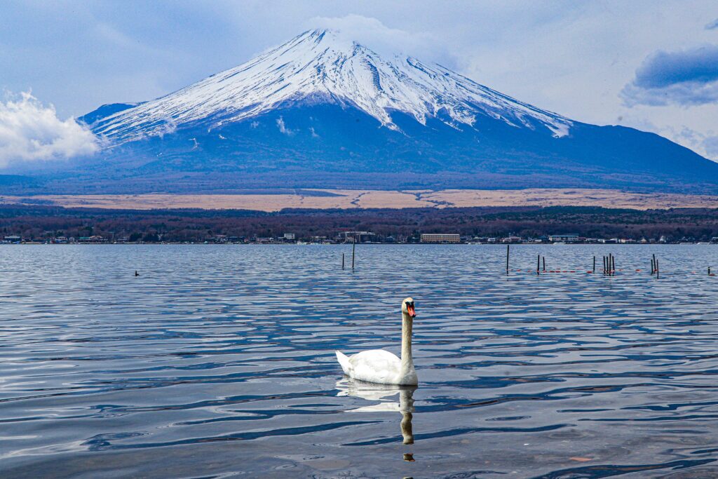 Mt fuji image