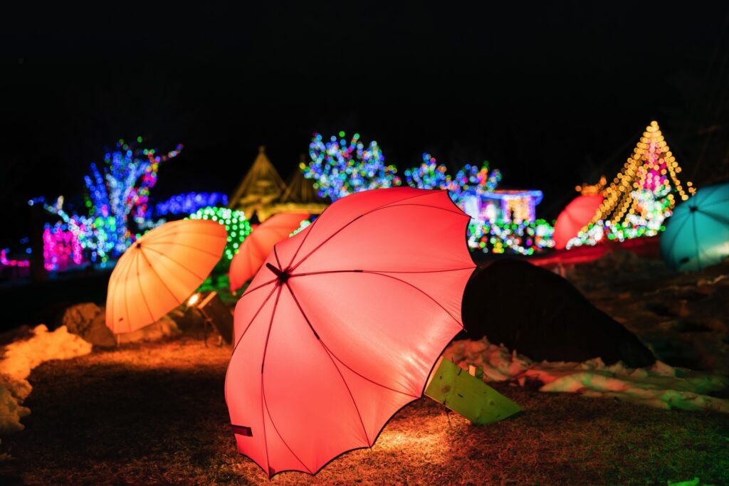 Mt. Fuji in Early Winter – A Crystal-Clear 10-Hour Mt. Fuji December Itinerary with Festive Lights 8 3679293 m