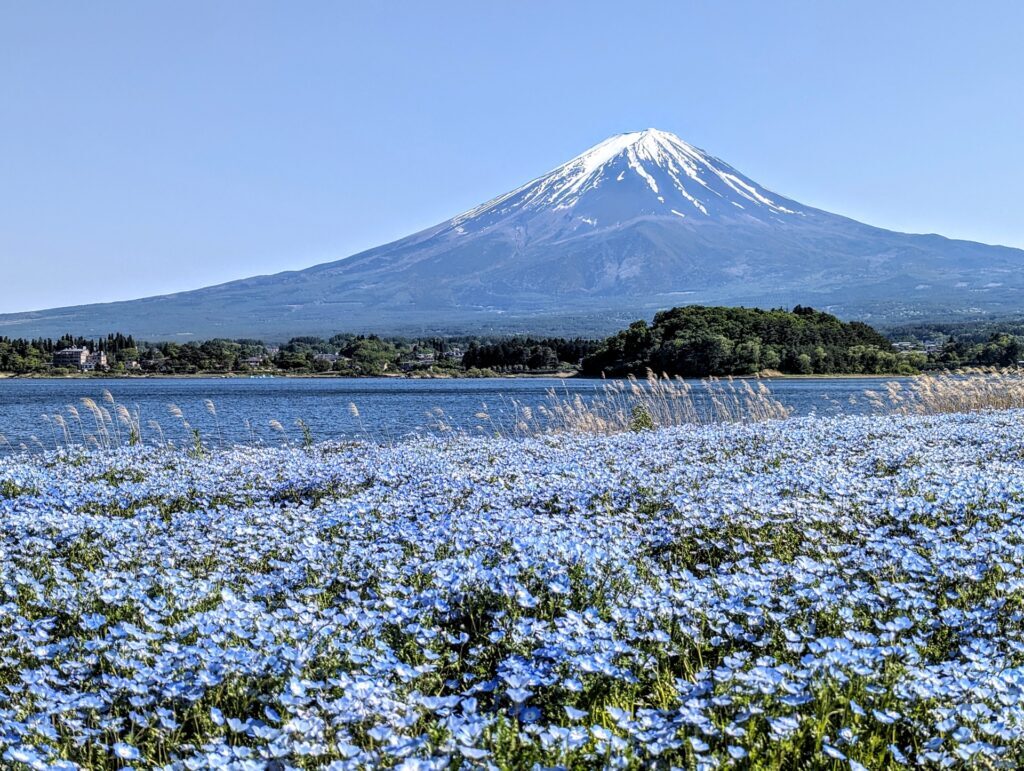 Private Tour in Japan