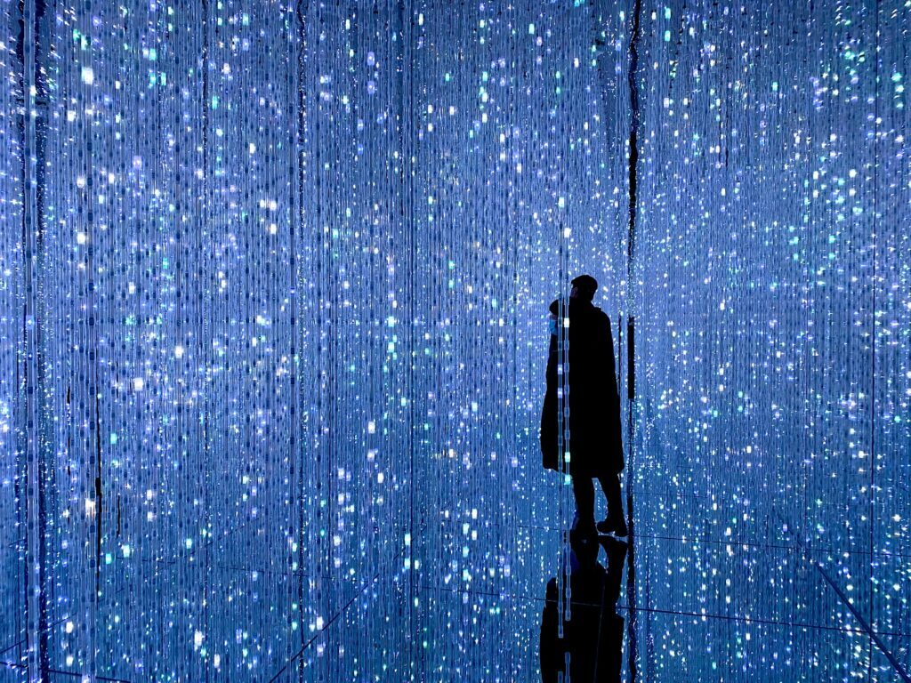soya cui dXwRfxRZMhw unsplash