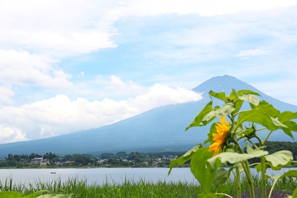Mt. Fuji summer tour