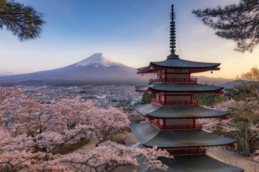 Cherry Blossom Day Trip