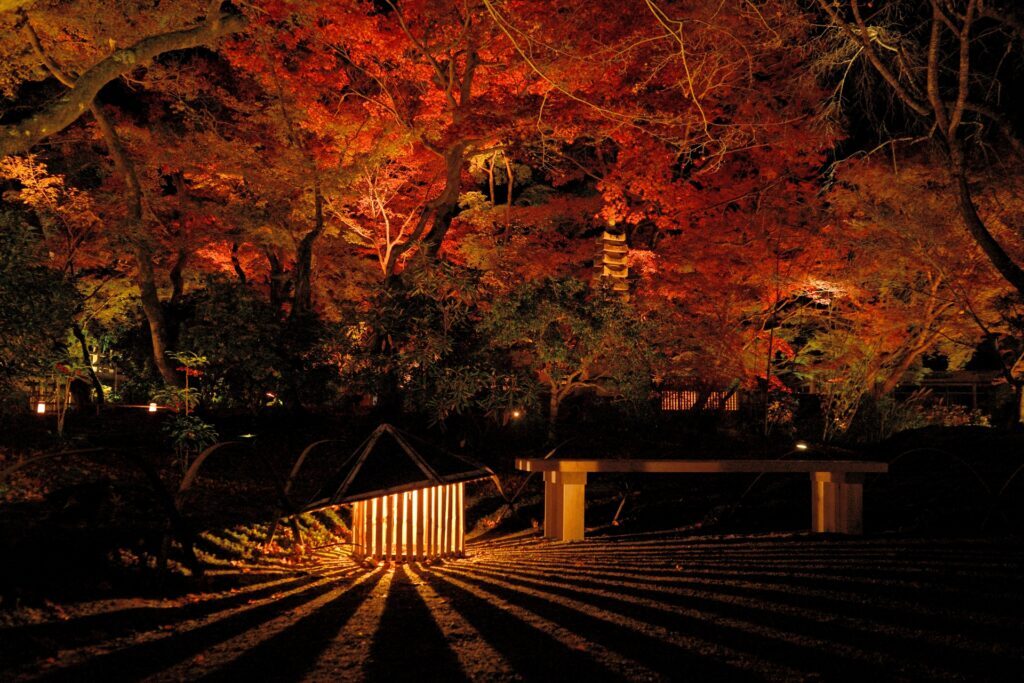 Autumn Lights in Japan 2025: Where to See the Best Fall Night Illuminations 6 4027829 m